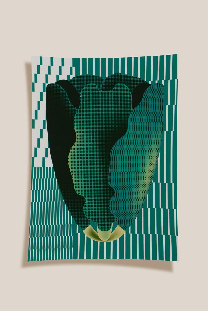 Cartaz Bolhão - Legume